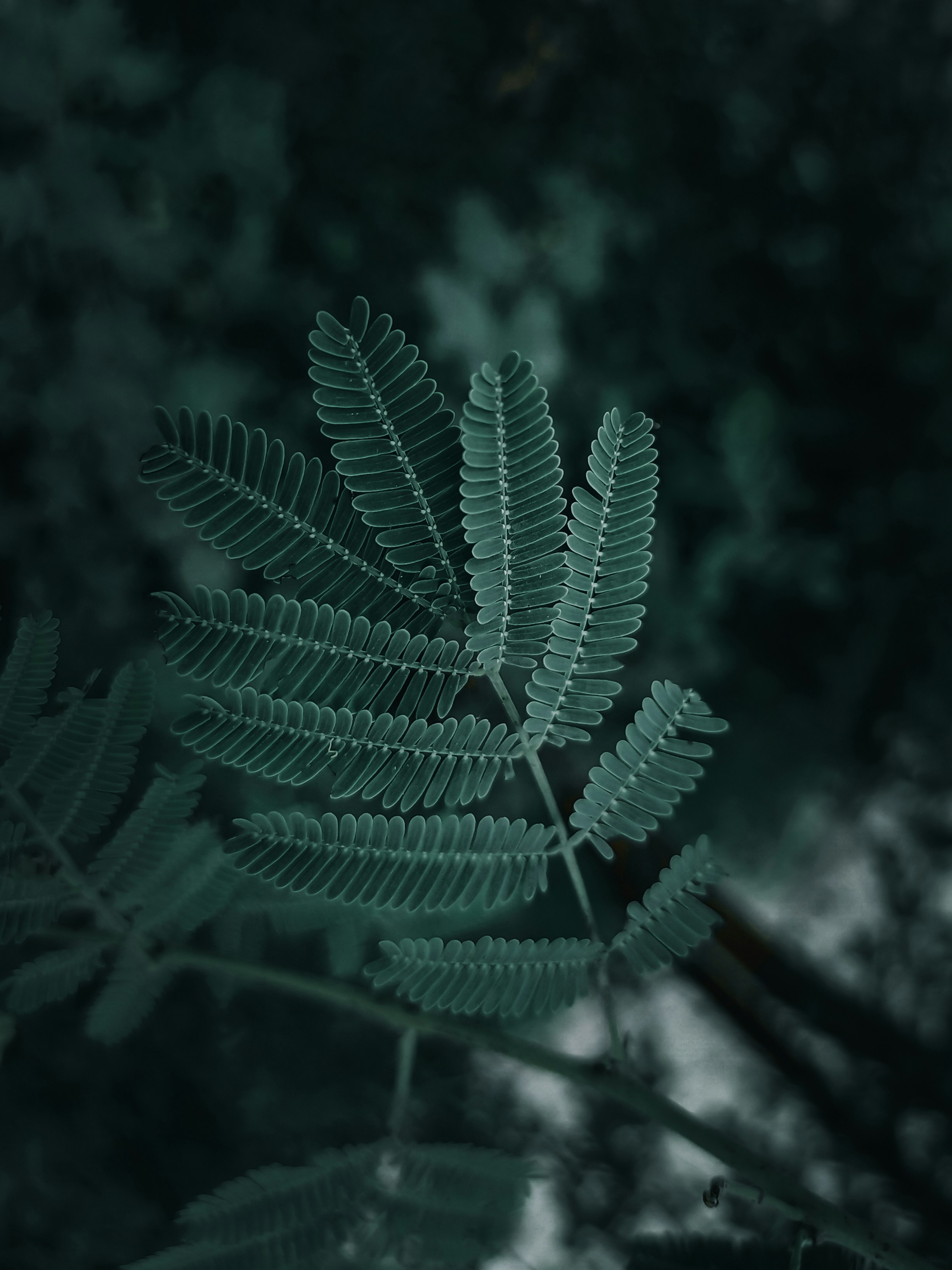 Photo by iamayushmaurya