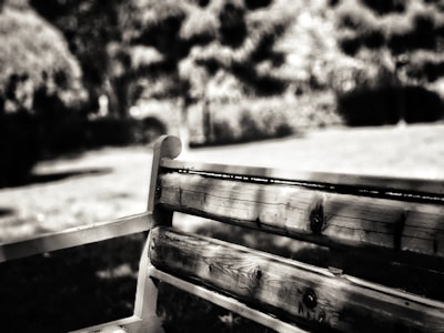 A wooden bench is captured in focus, with blurred natural surroundings in the background. The bench appears weathered and rustic, suggesting it is situated in an outdoor park or garden.