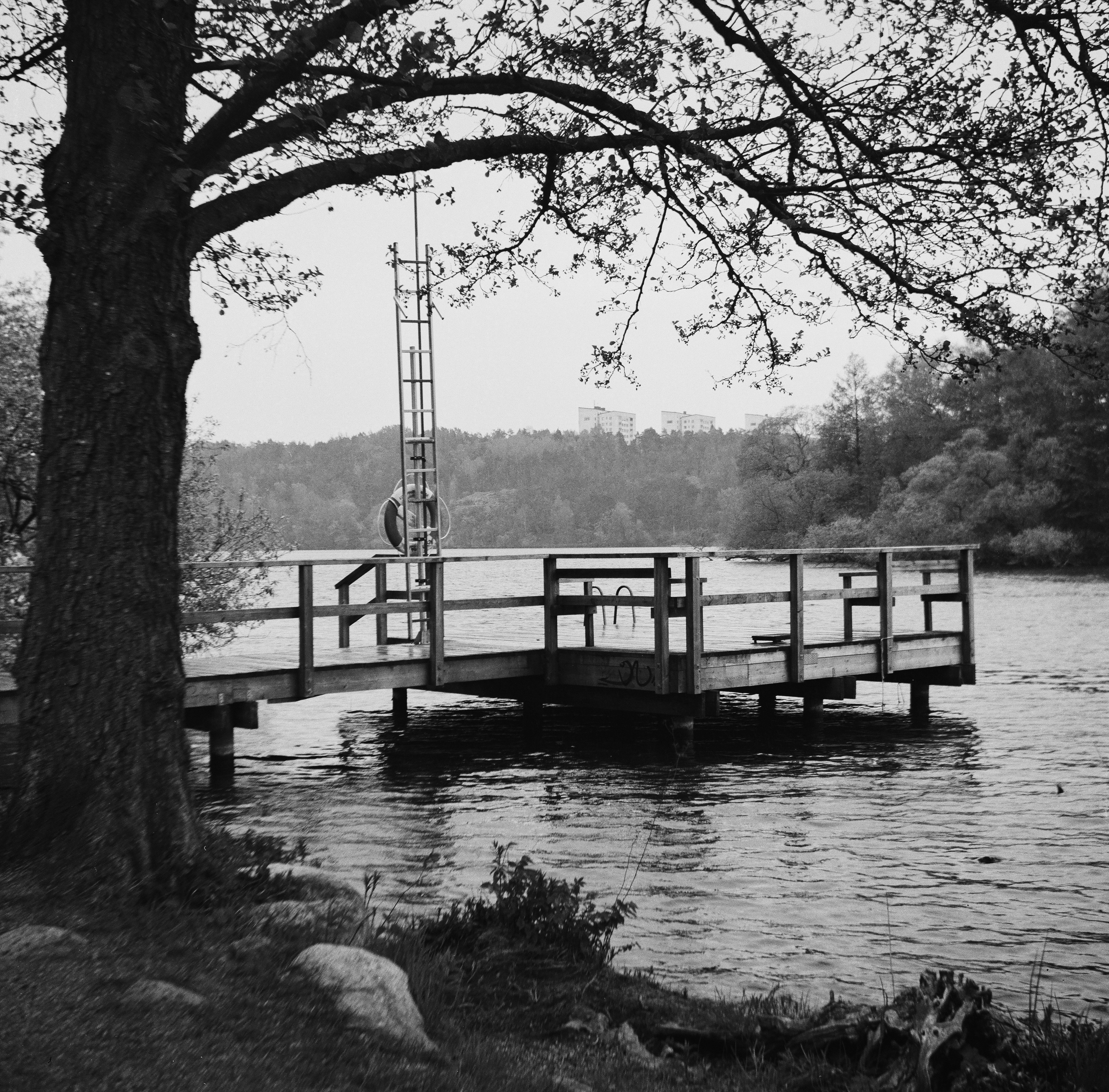 grayscale photo of wooden dock on river