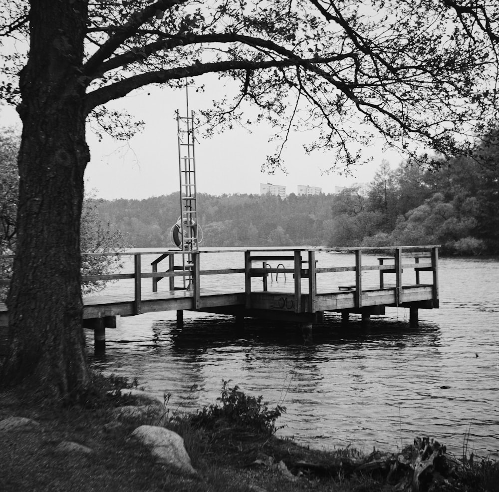 grayscale photo of wooden dock on river