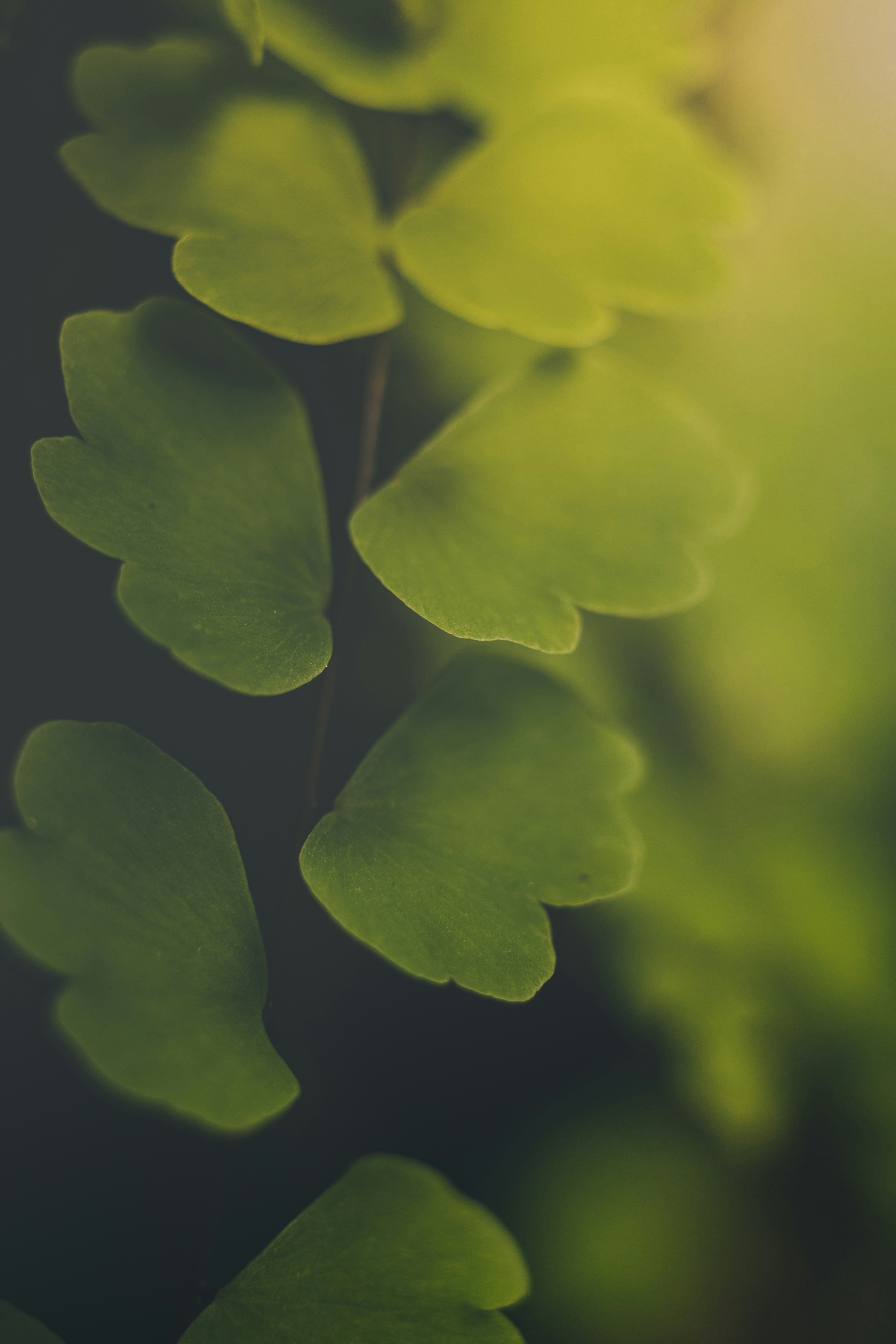 Photo by sreenadh_tc