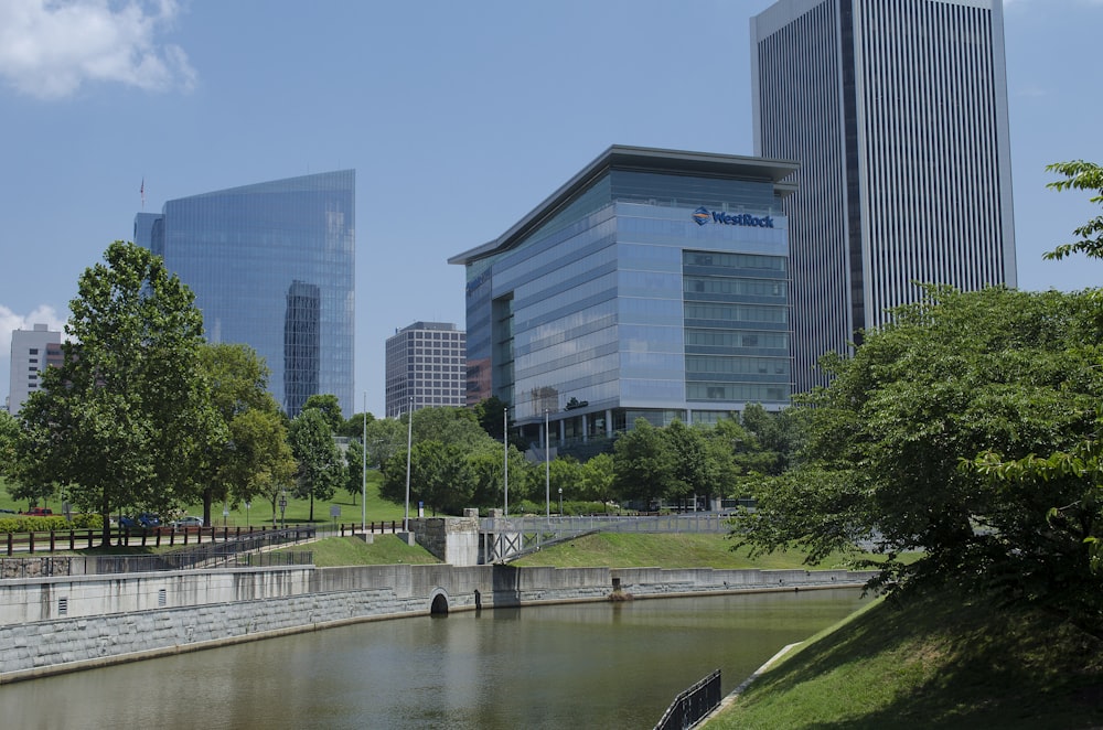 green trees near body of water during daytime