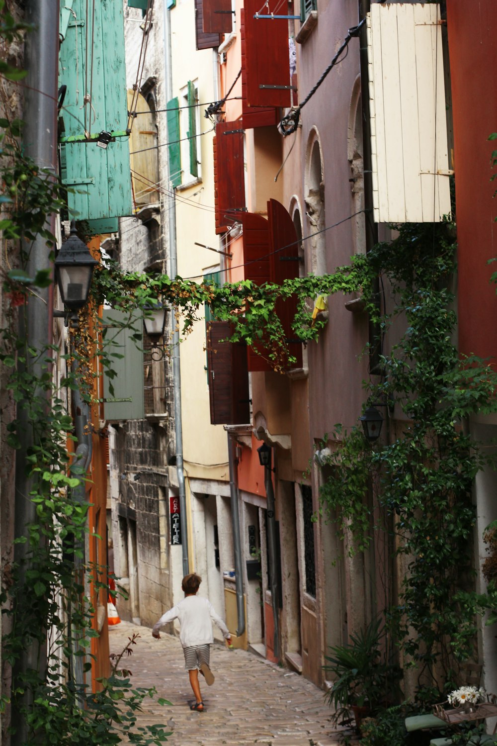 Plantes vertes sur un bâtiment en béton brun