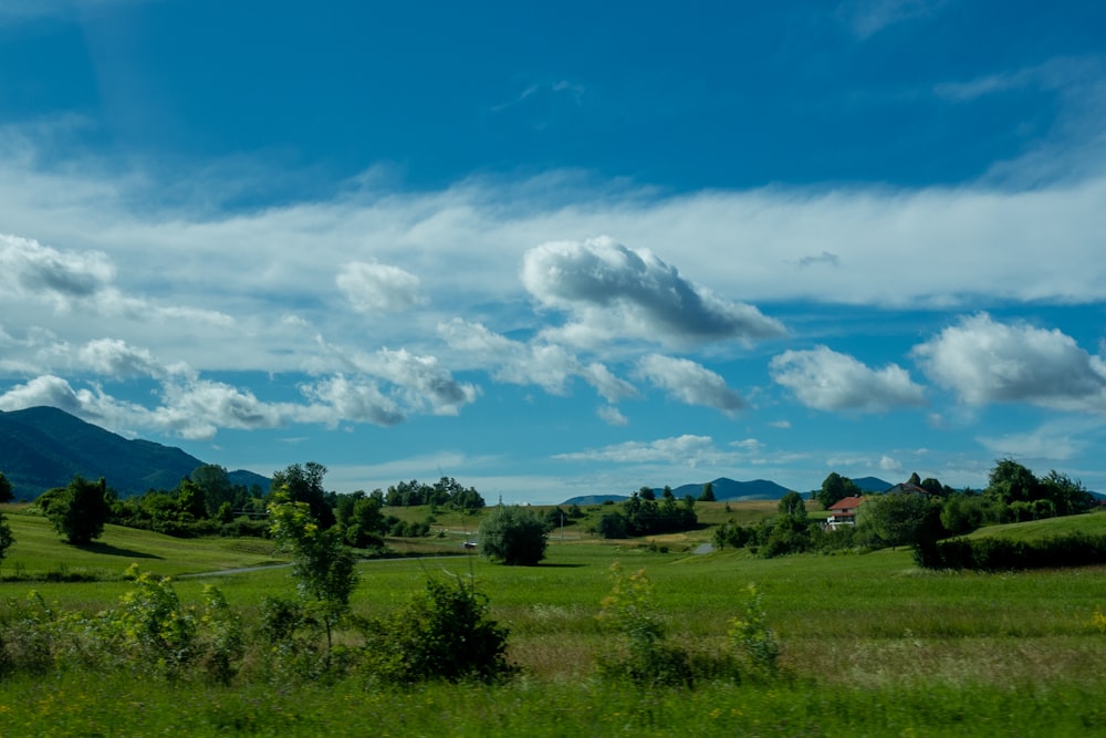 green grass field under blue sky and white clouds during daytime