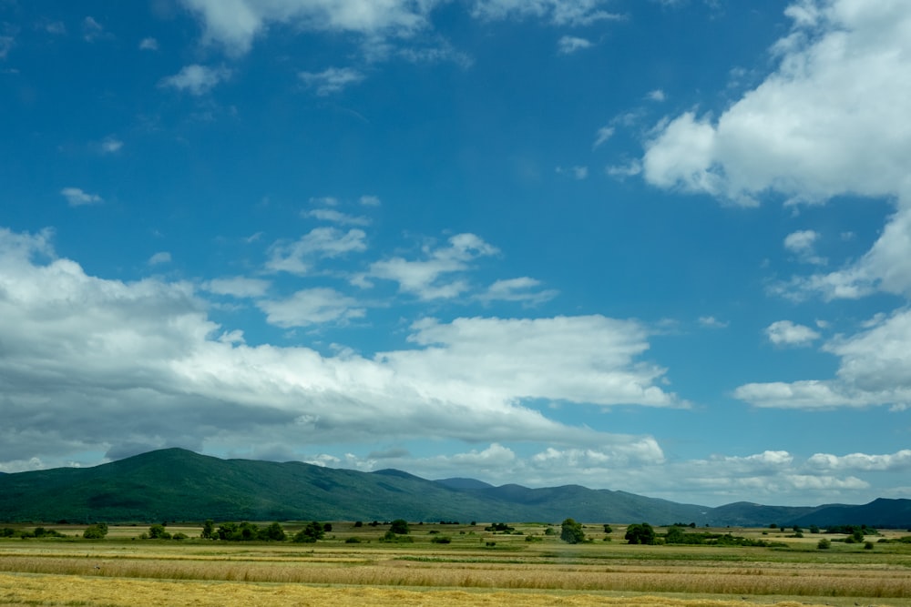 green grass field under blue sky and white clouds during daytime