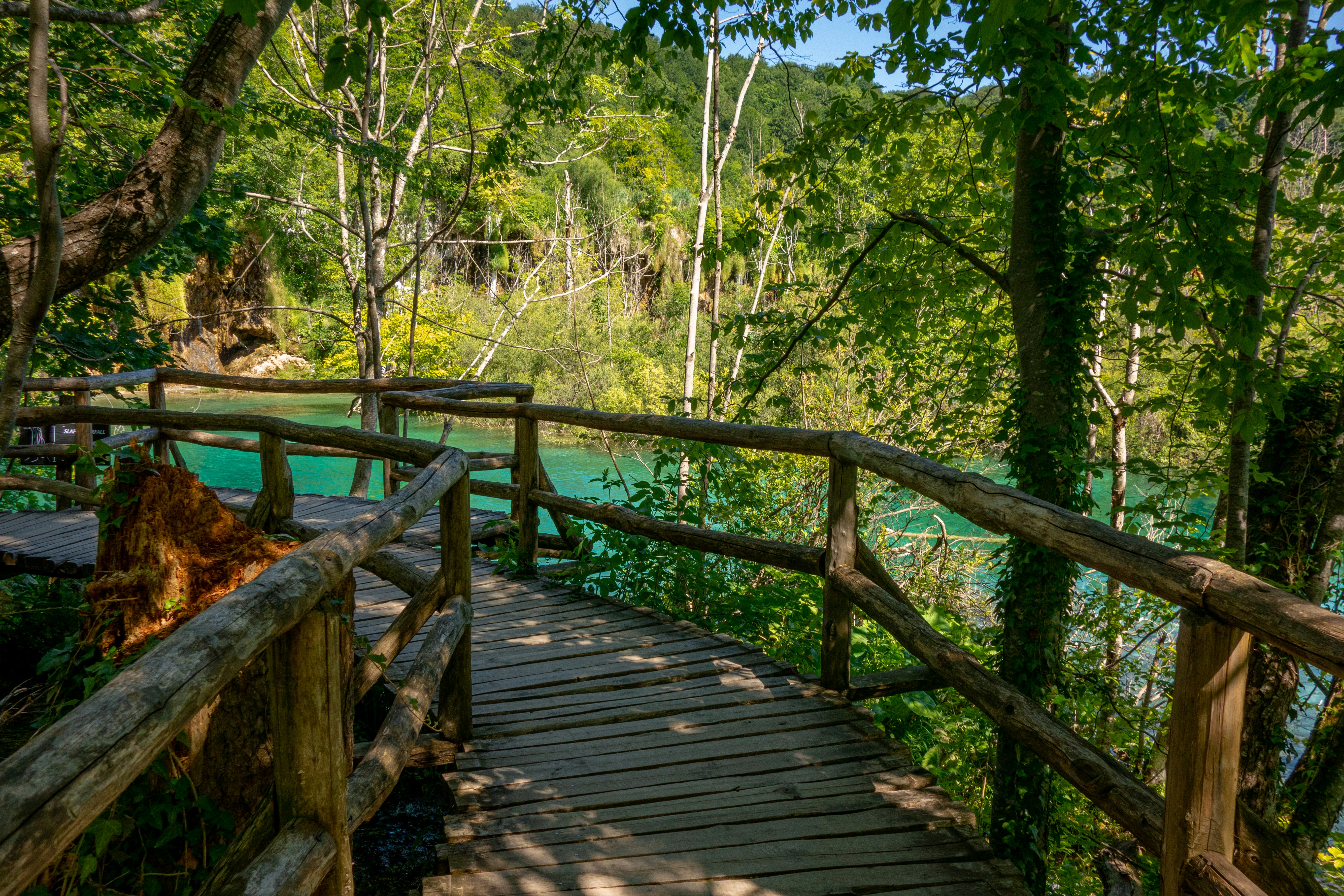 brown wooden bridge in forest during daytime