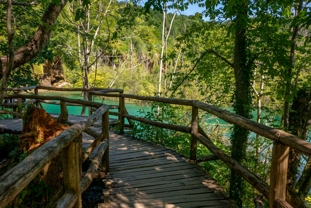 Braune Holzbrücke im Wald tagsüber