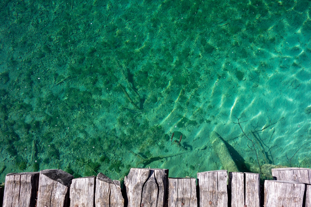 brown wooden fence on green water