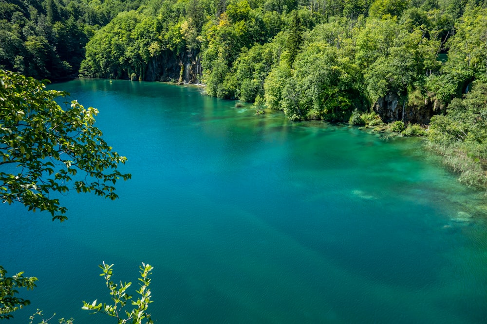 green lake surrounded by green trees during daytime