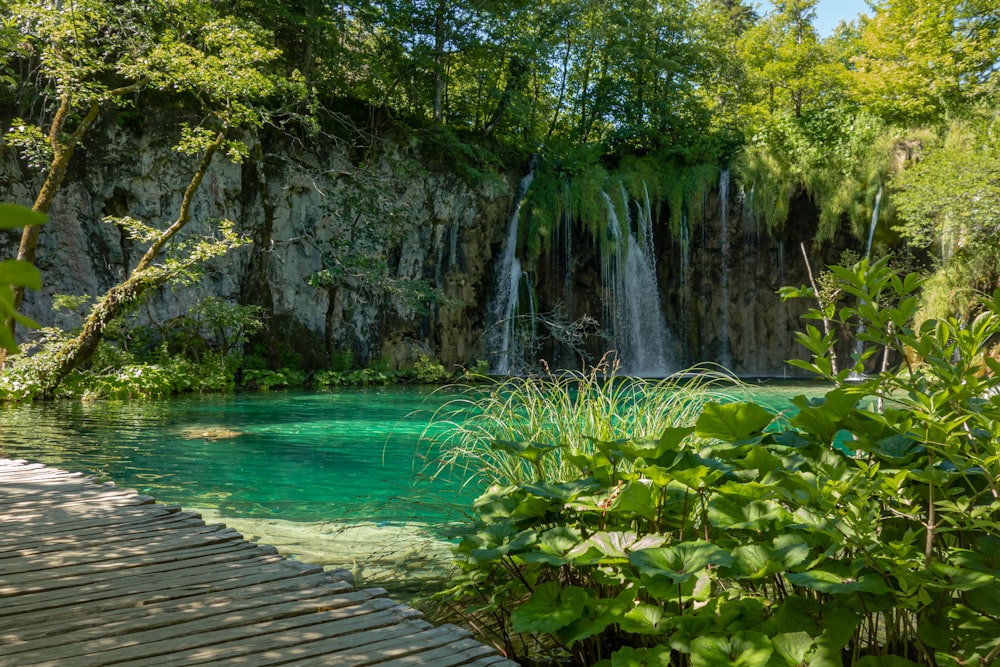 molo di legno marrone sul fiume