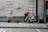 A red electric scooter and a white bicycle are parked side by side on a sidewalk against a beige-colored wall with peeling paint and grime. The bicycle has a black basket in the front with a red, fluffy toy or object in it. A black and white helmet is placed on the bicycle's frame.
