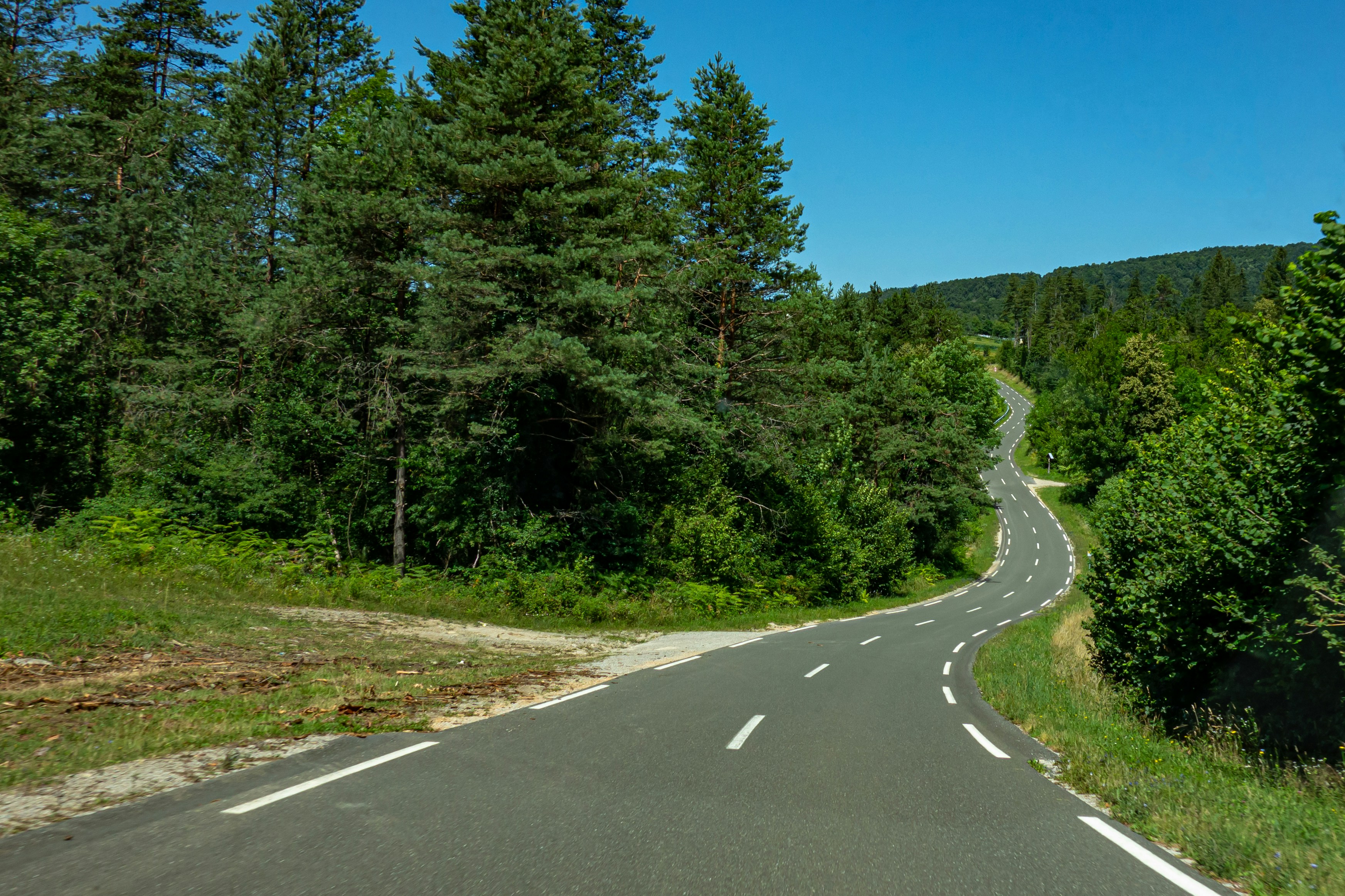 gray concrete road between green trees under blue sky during daytime meandering teams background