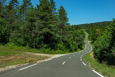 gray concrete road between green trees under blue sky during daytime meandering google meet background