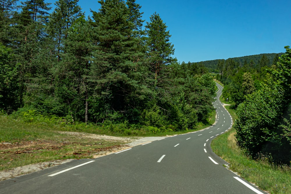 gray concrete road between green trees under blue sky during daytime