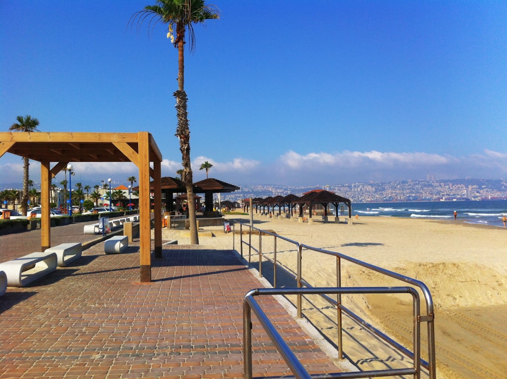 persone sulla spiaggia durante il giorno