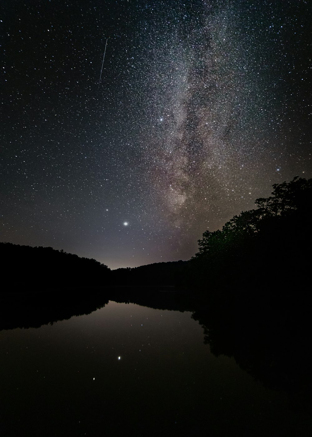 silhouette of trees near body of water during night time