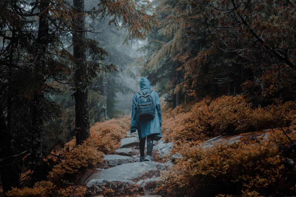 person in gray jacket walking on pathway between trees during daytime