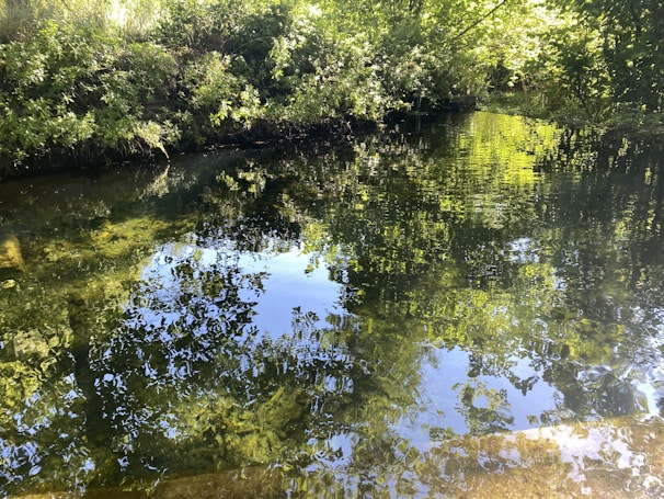 Floating solar panels gently resting on a calm water body, reflecting the sunlight and surrounding greenery.