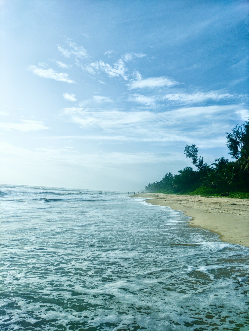 green trees near sea under white clouds and blue sky during daytime