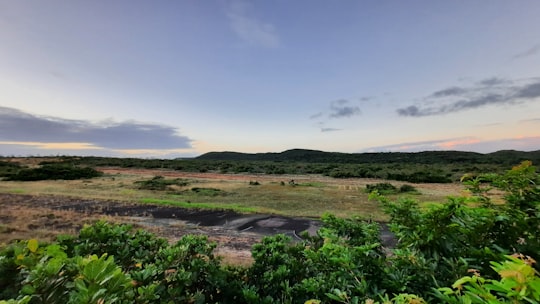 green plants on brown field under blue sky during daytime in Ponta Negra Brasil