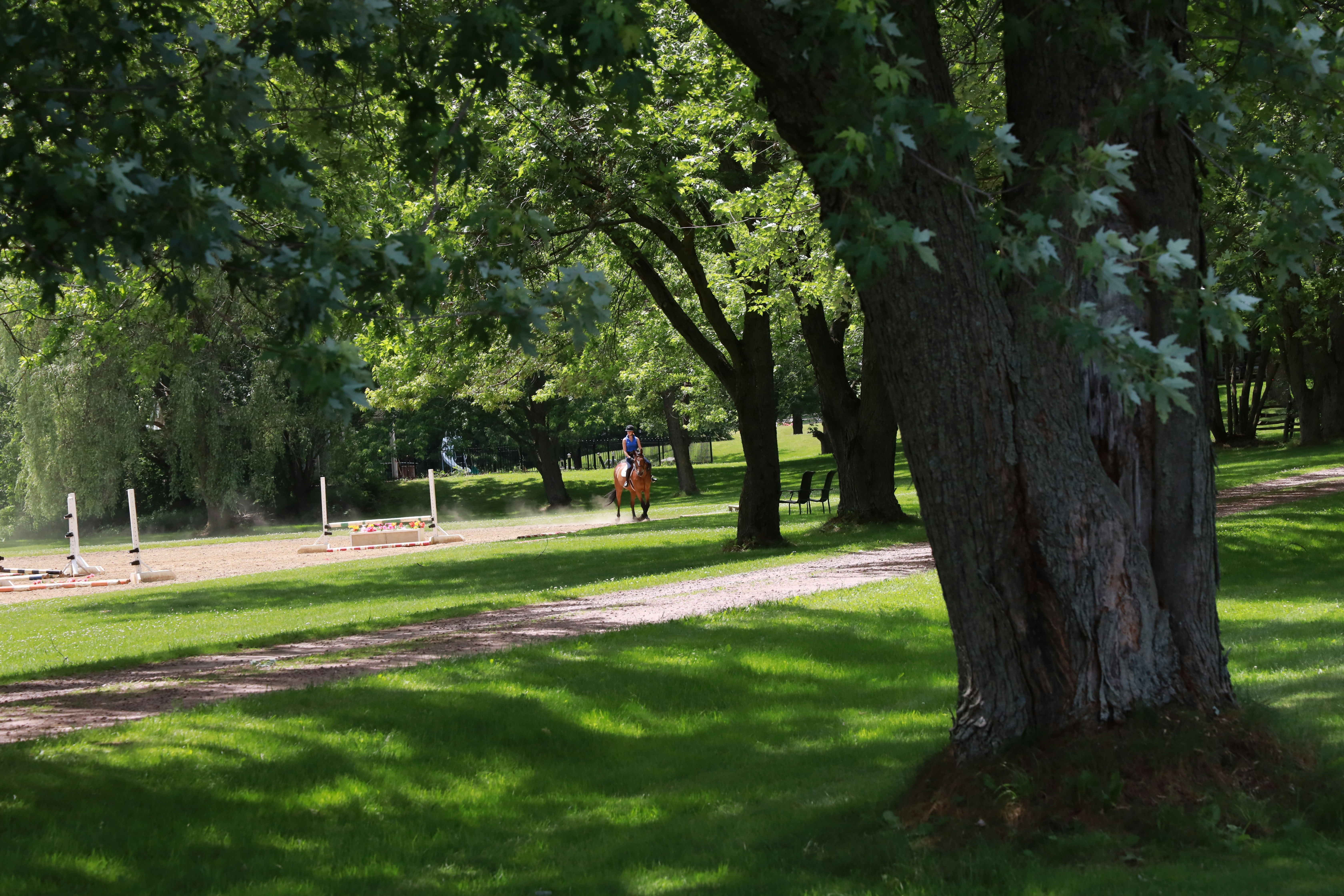 Photo by richardworks