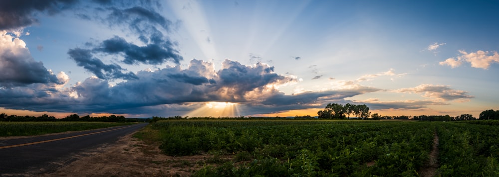 Champ d’herbe verte sous le ciel bleu avec des nuages blancs pendant la journée