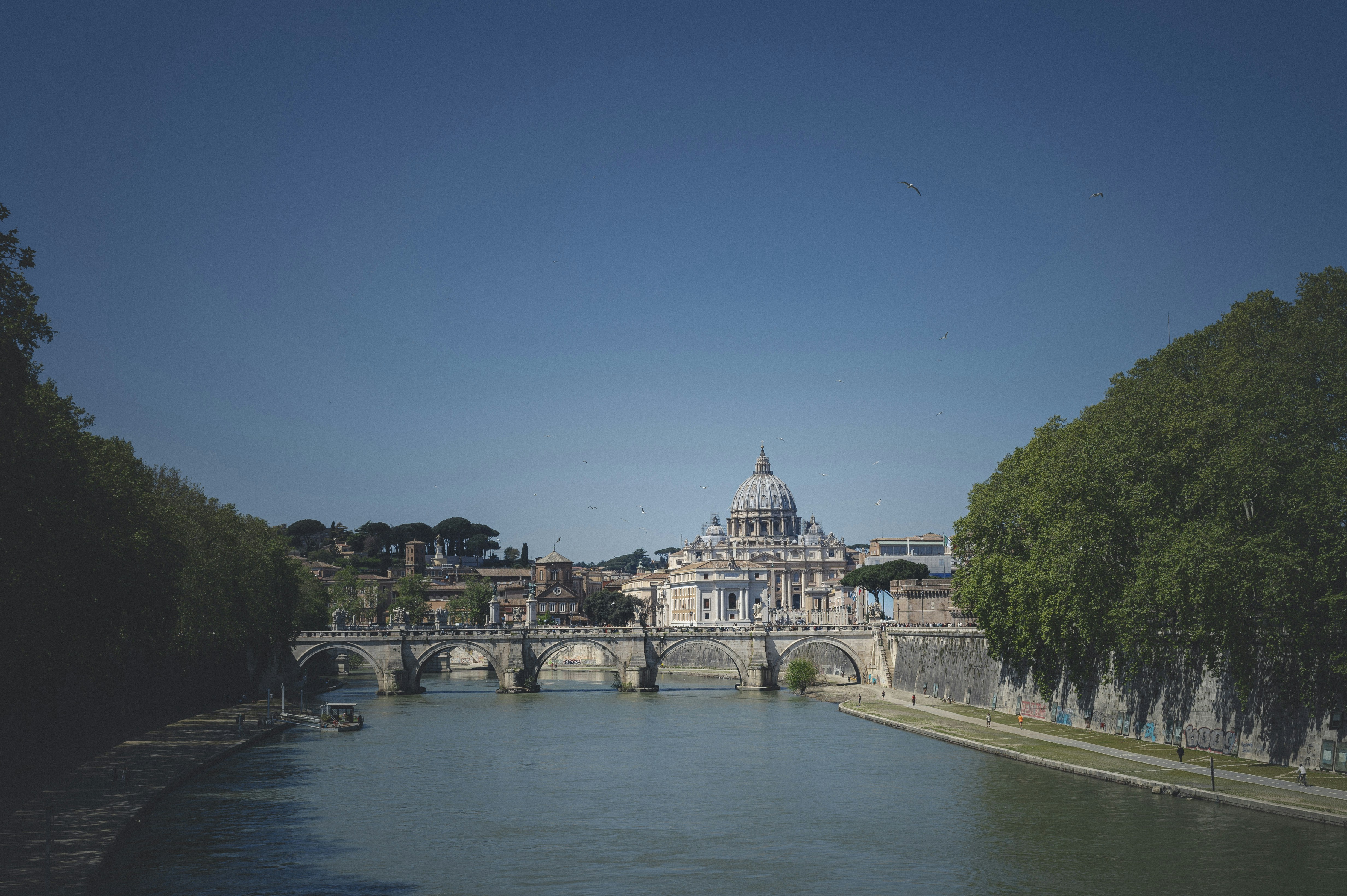 Photo by vonshnauzer