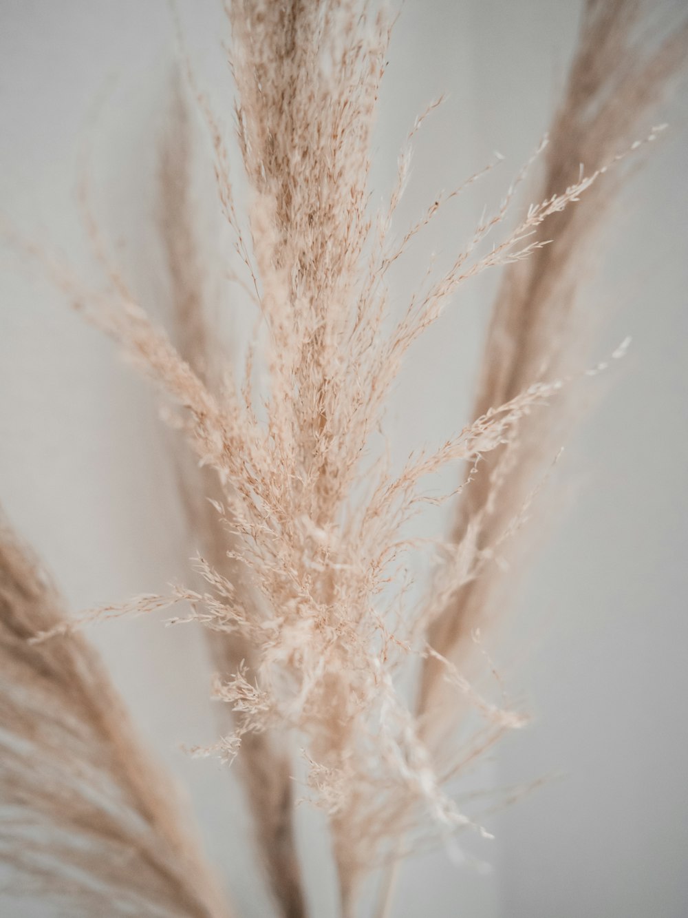 white and brown fur textile