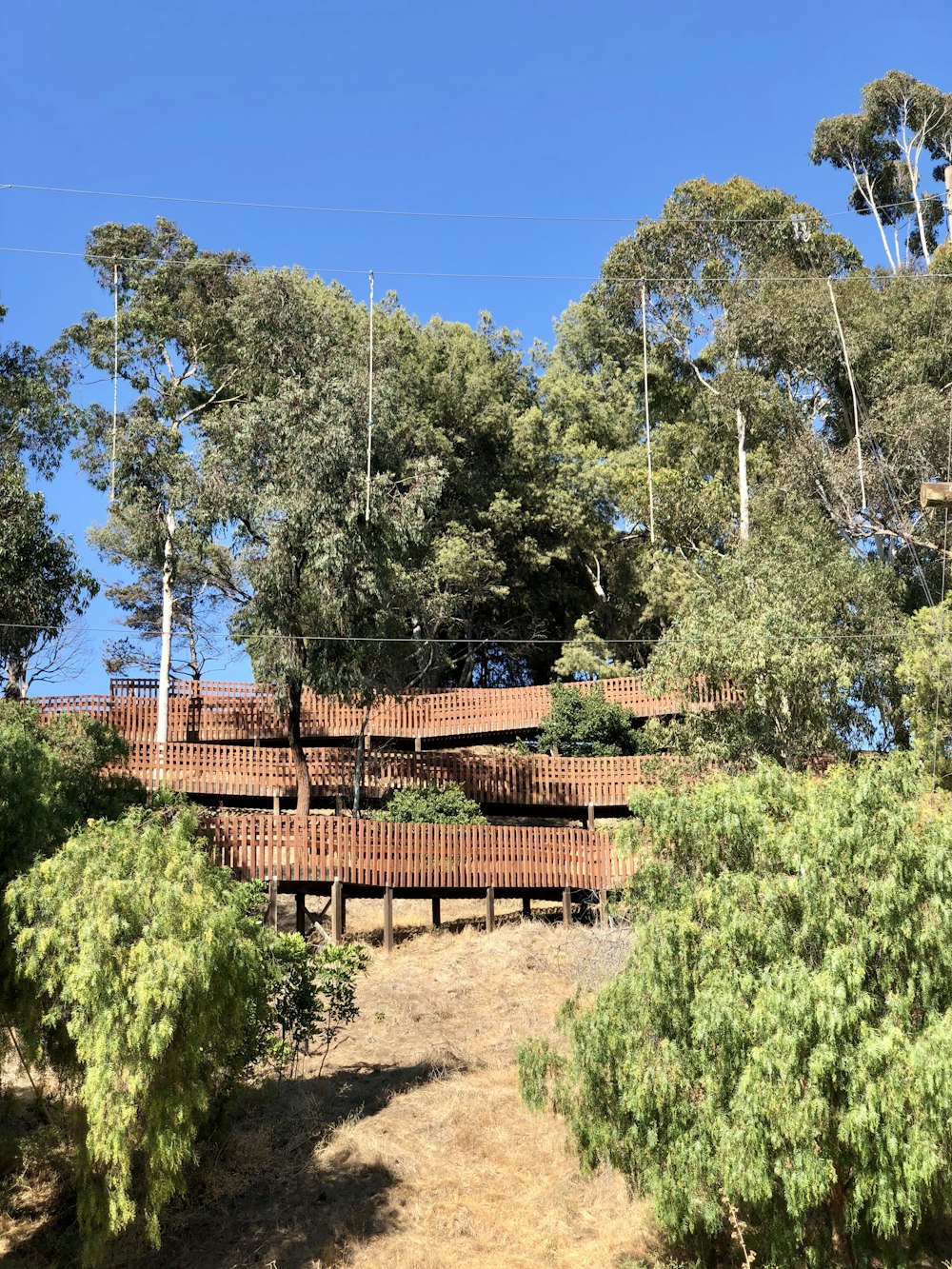 green trees and plants near brown wooden fence during daytime