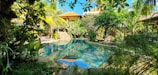 A serene pool area surrounded by lush gardens at the villa.