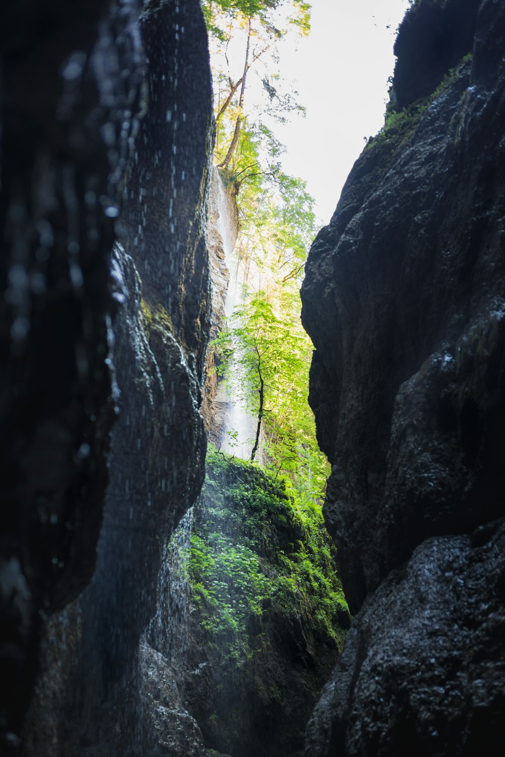 昼間の灰色の岩山