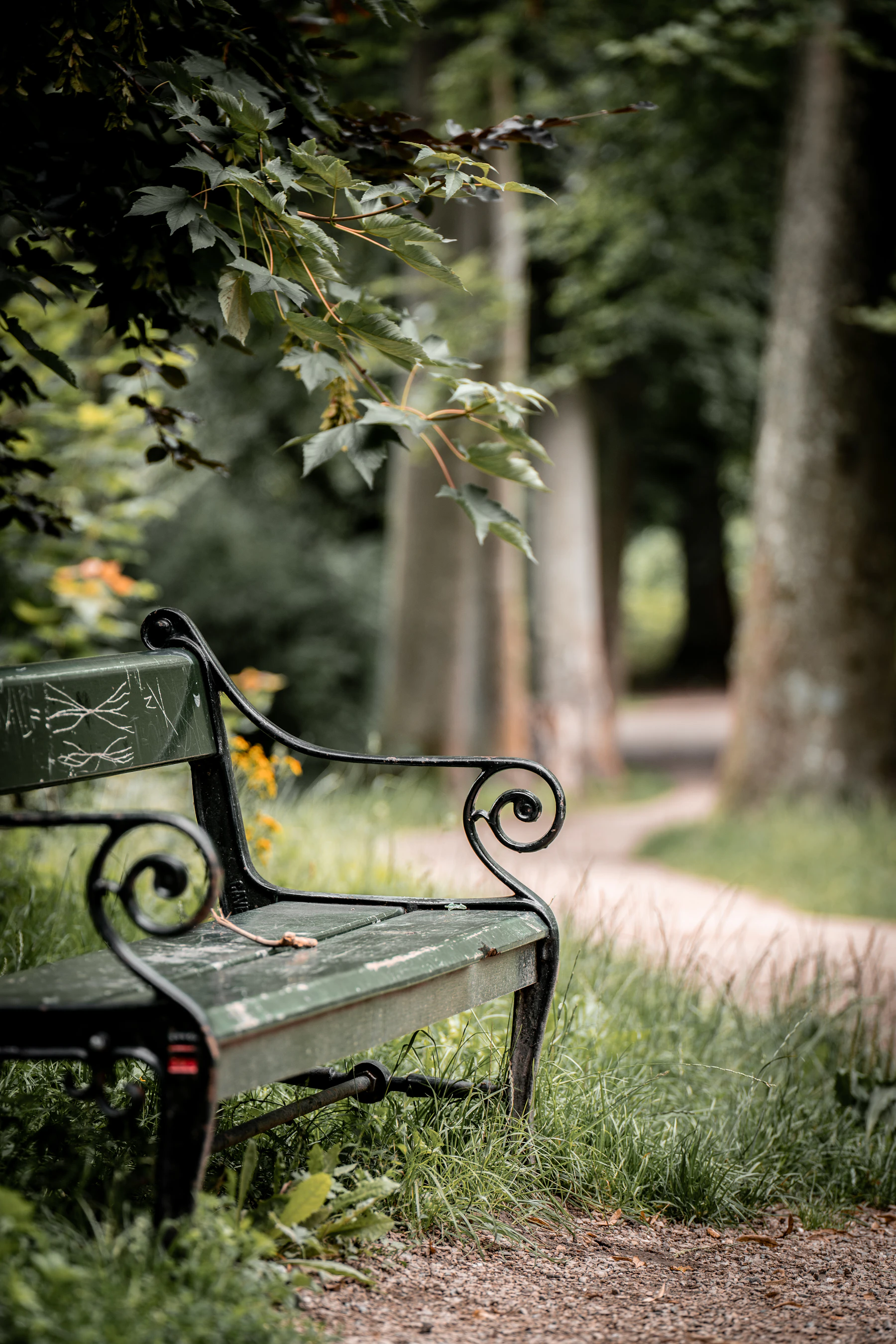 A green metal bench stands beside a winding path under leafy trees.