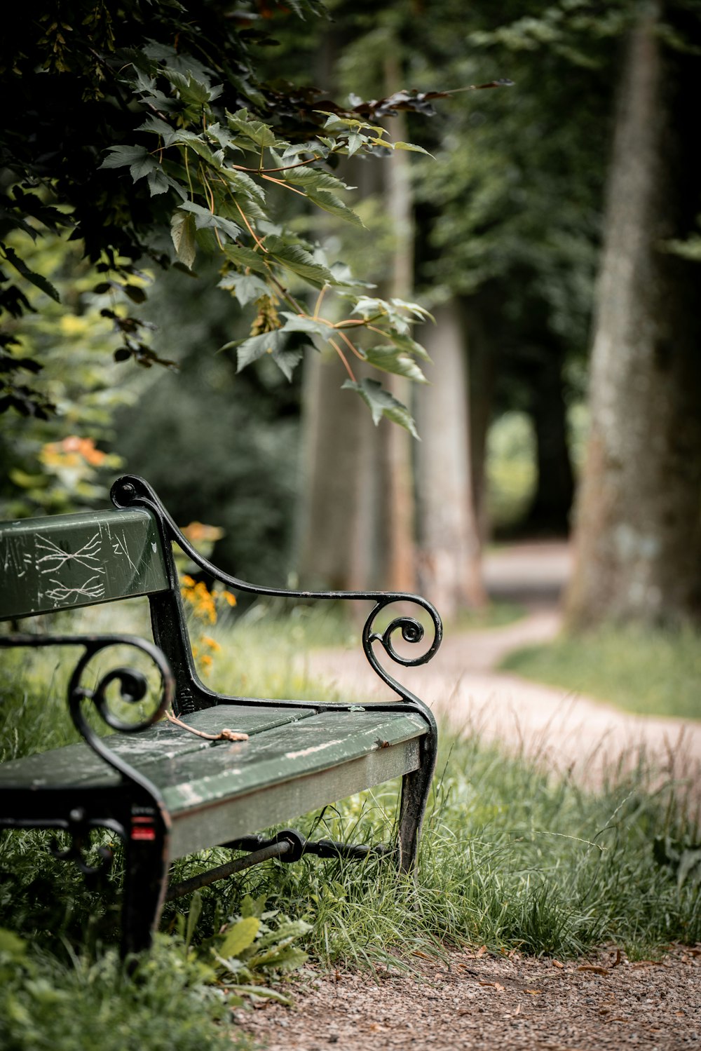 Banc en métal noir près de l’arbre à feuilles vertes pendant la journée