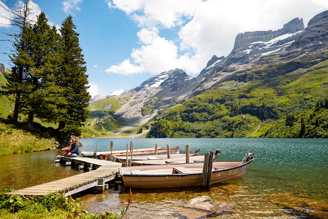 brown wooden boat on dock near green trees and mountain during daytime