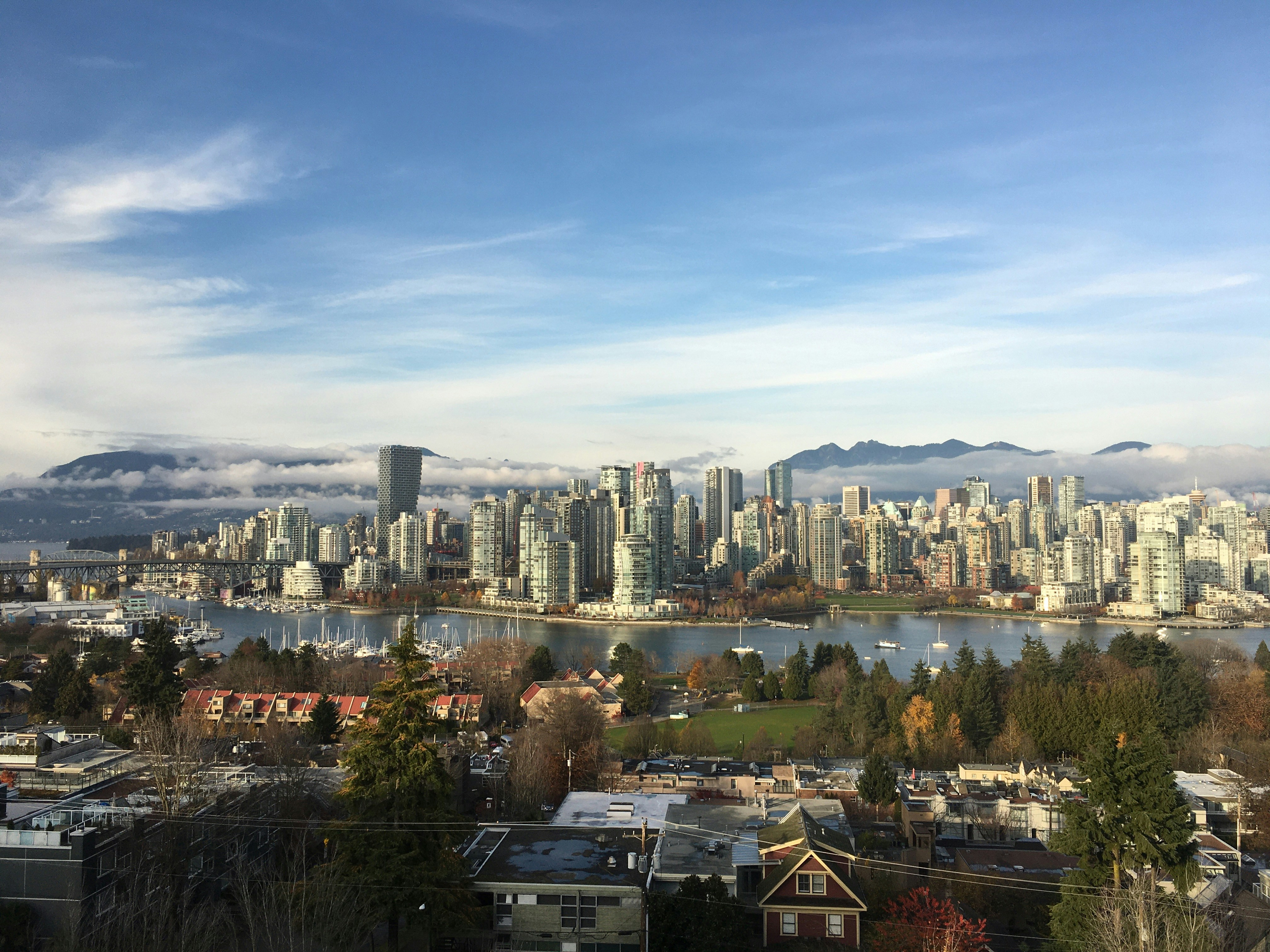 City skyline under blue sky during daytime photo – Free Building Image ...