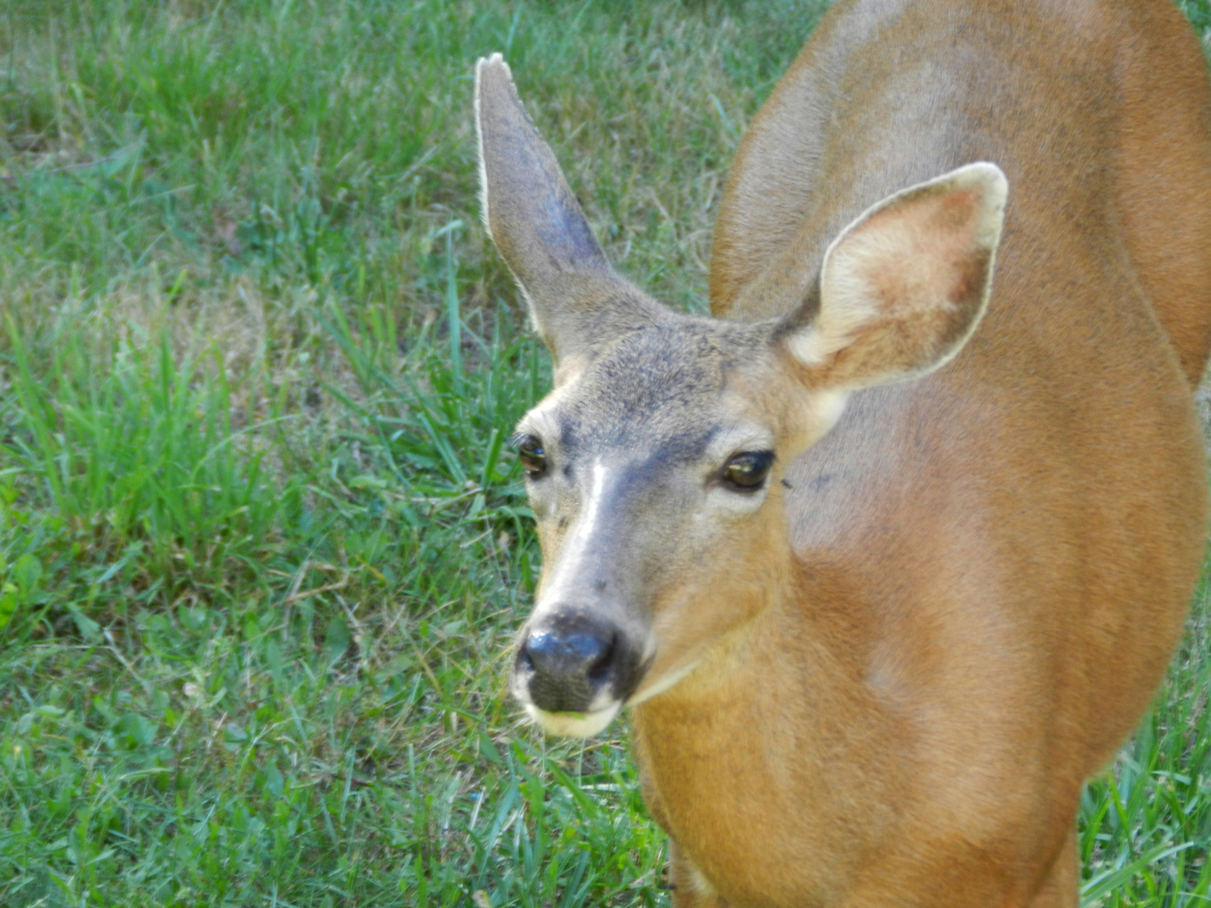 Photo by mandihchapman