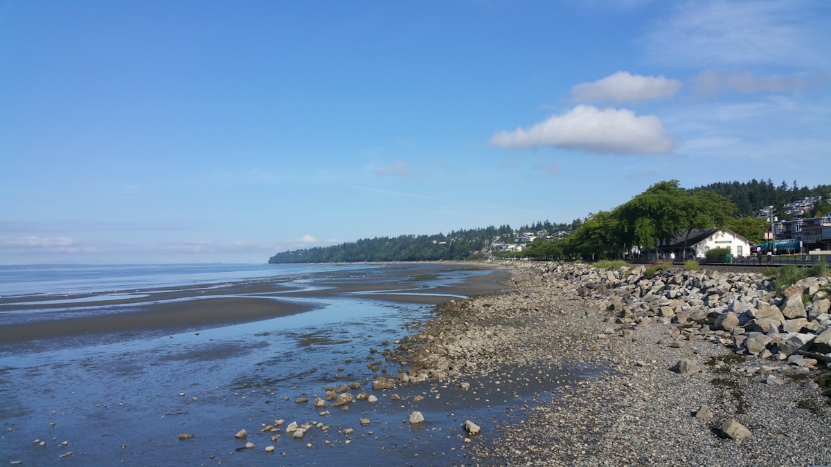 Lower Mainland Lifestyle: Where Market Softness Meets Quality