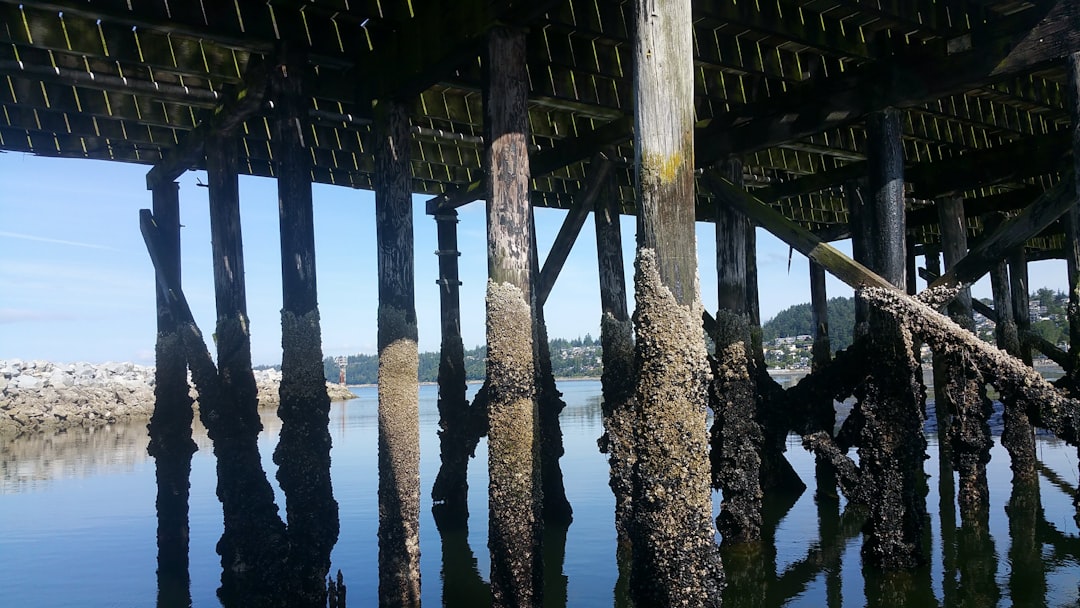 Pier photo spot White Rock North Vancouver