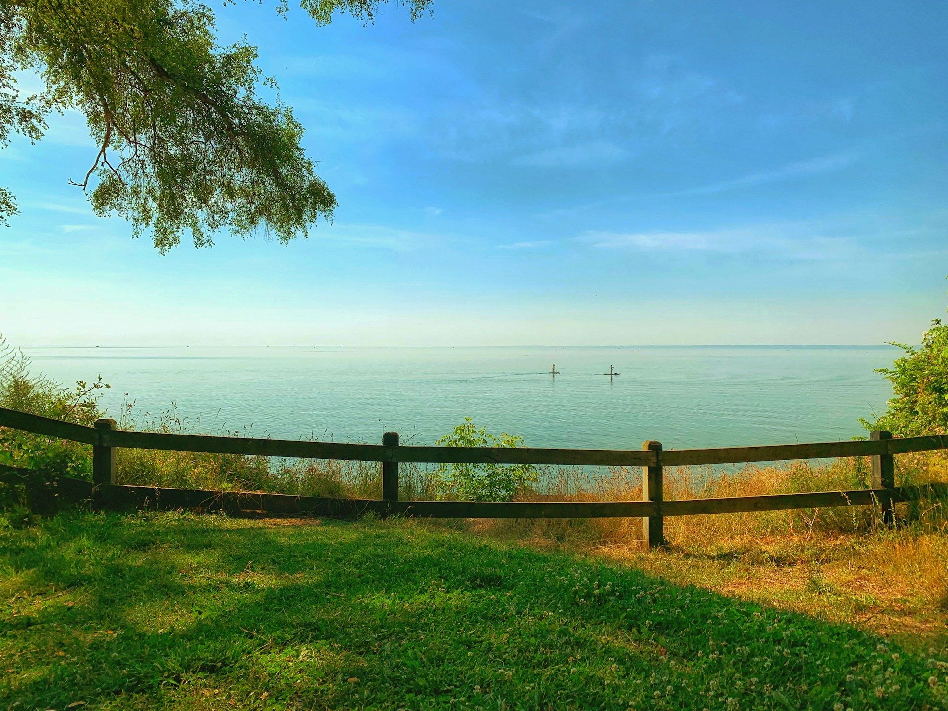 woman wearing yellow long-sleeved dress under white clouds and blue sky during daytime