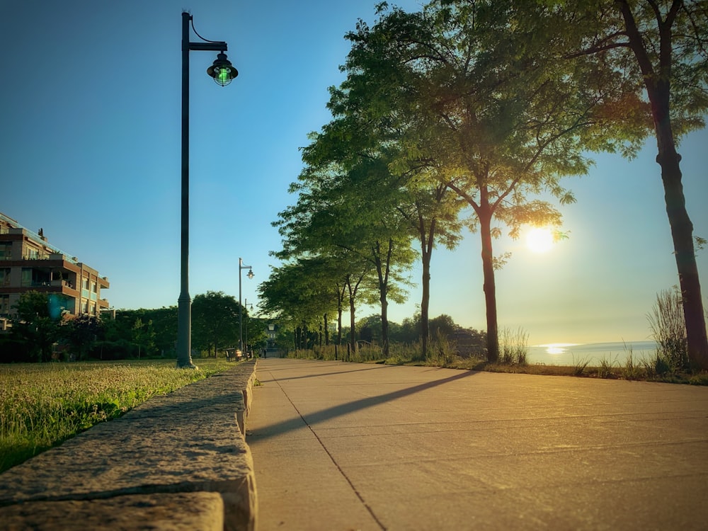 black light post near green trees during daytime