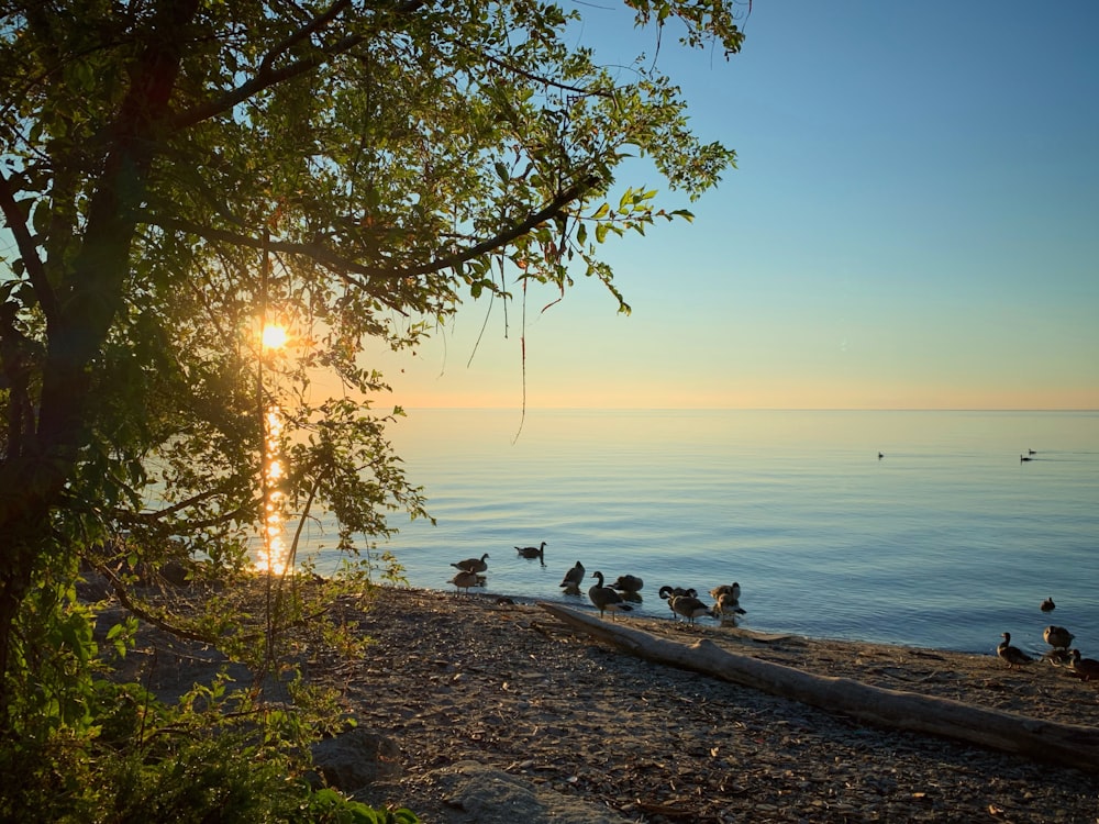 people sitting on brown wooden dock near body of water during daytime