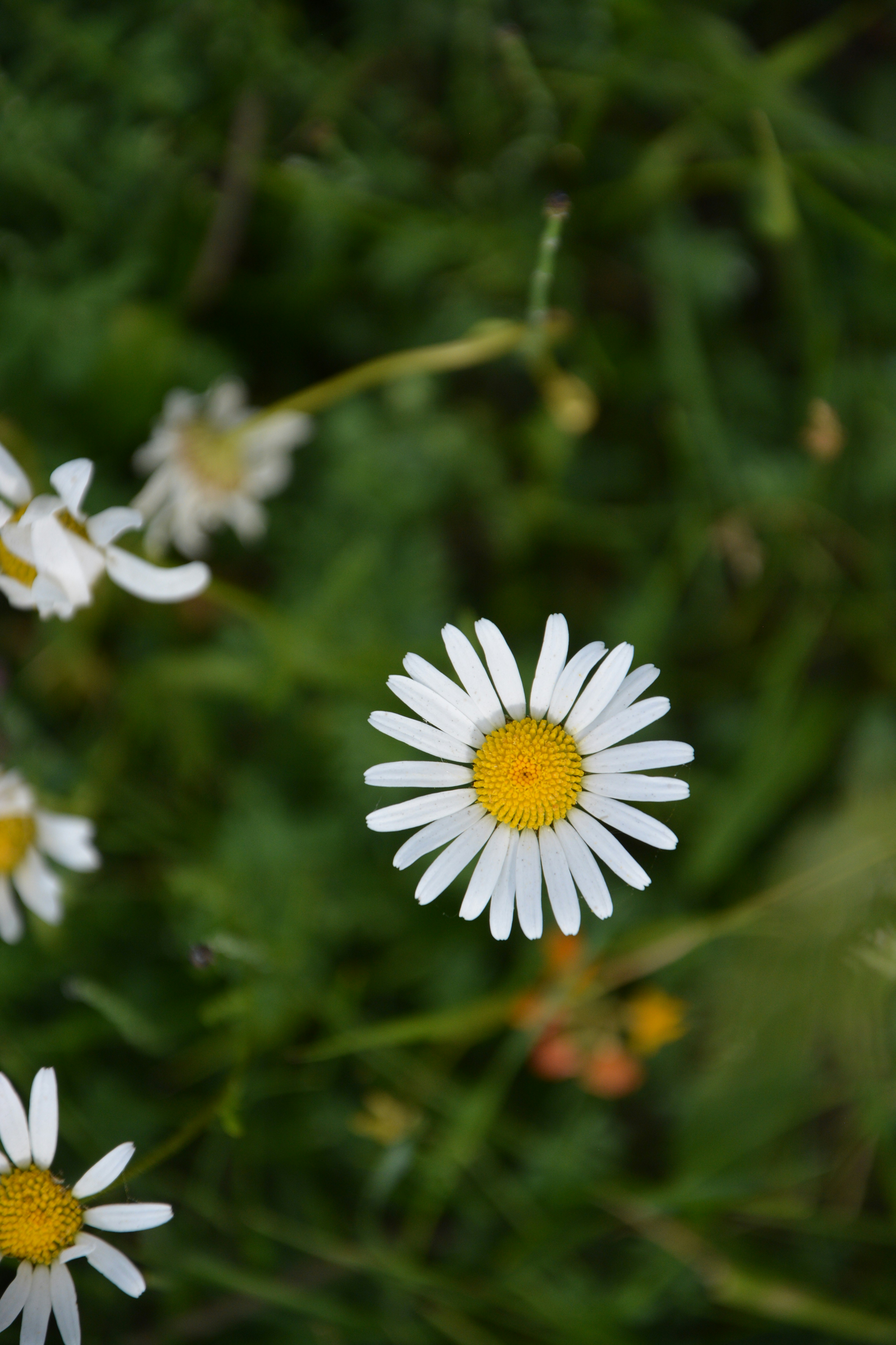 Photo by ekotavkhelidze