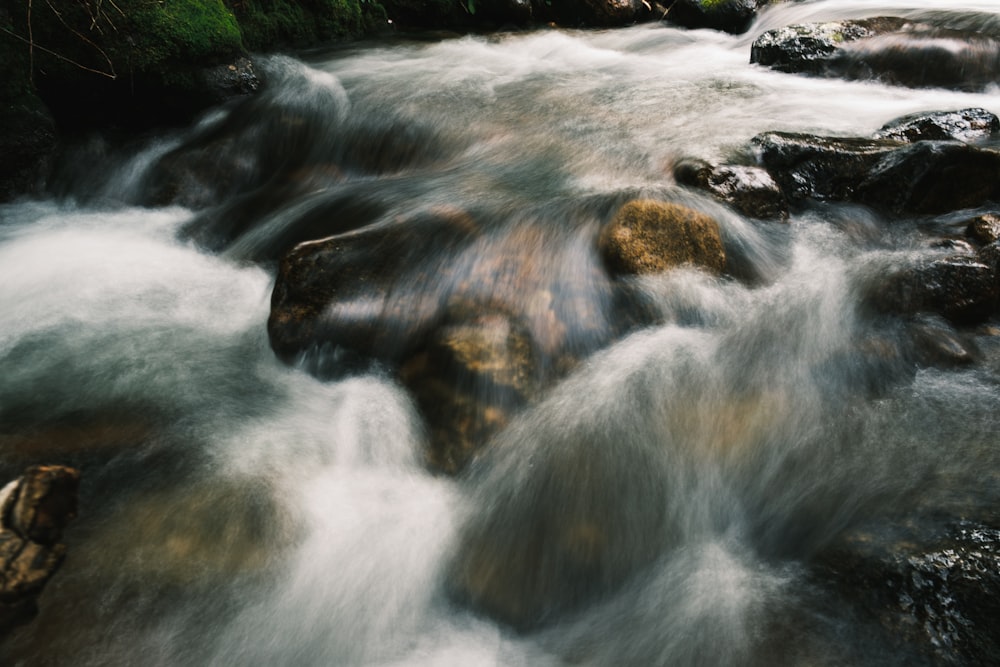 water falls in the middle of green grass field