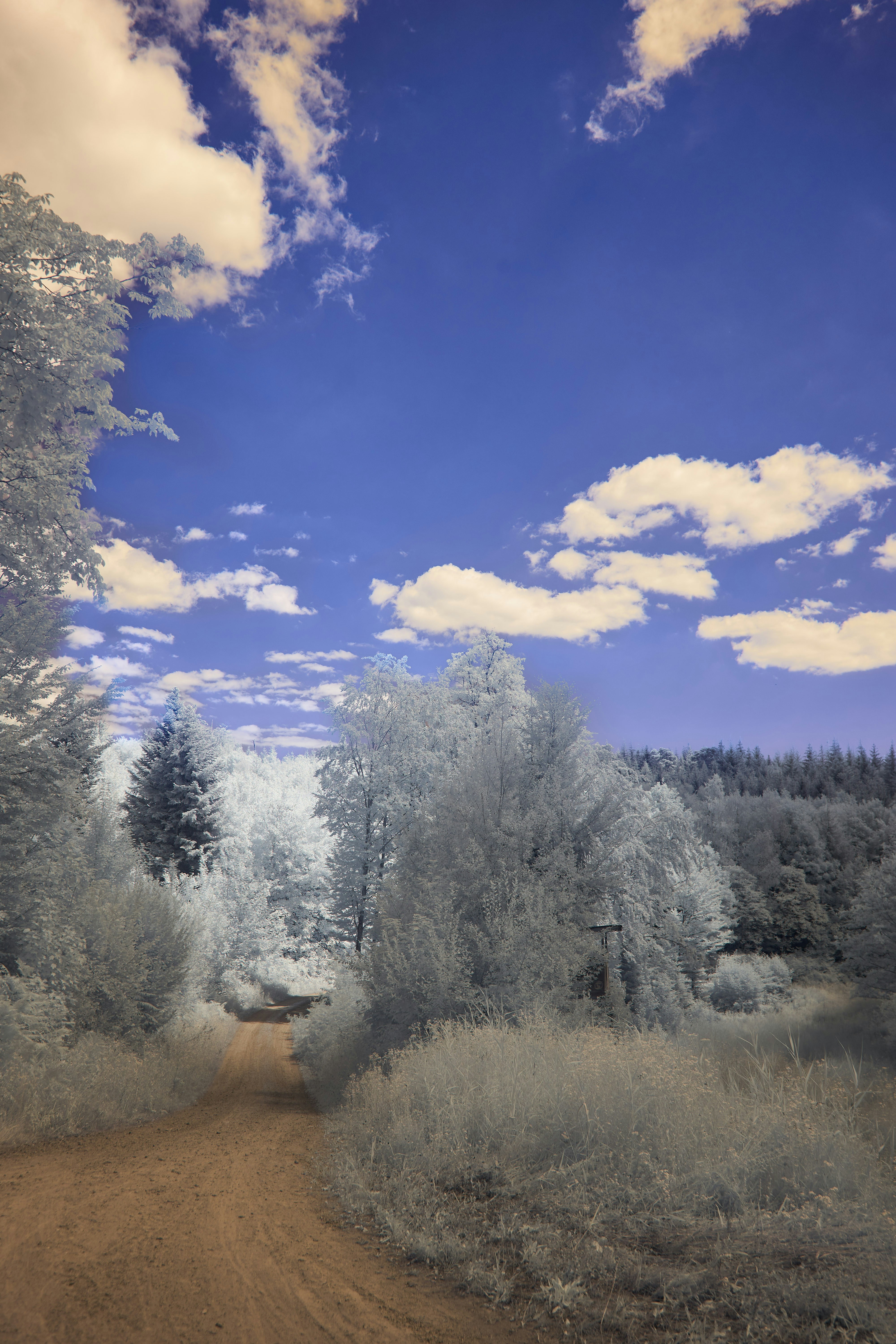 Photo by wolfgang_hasselmann