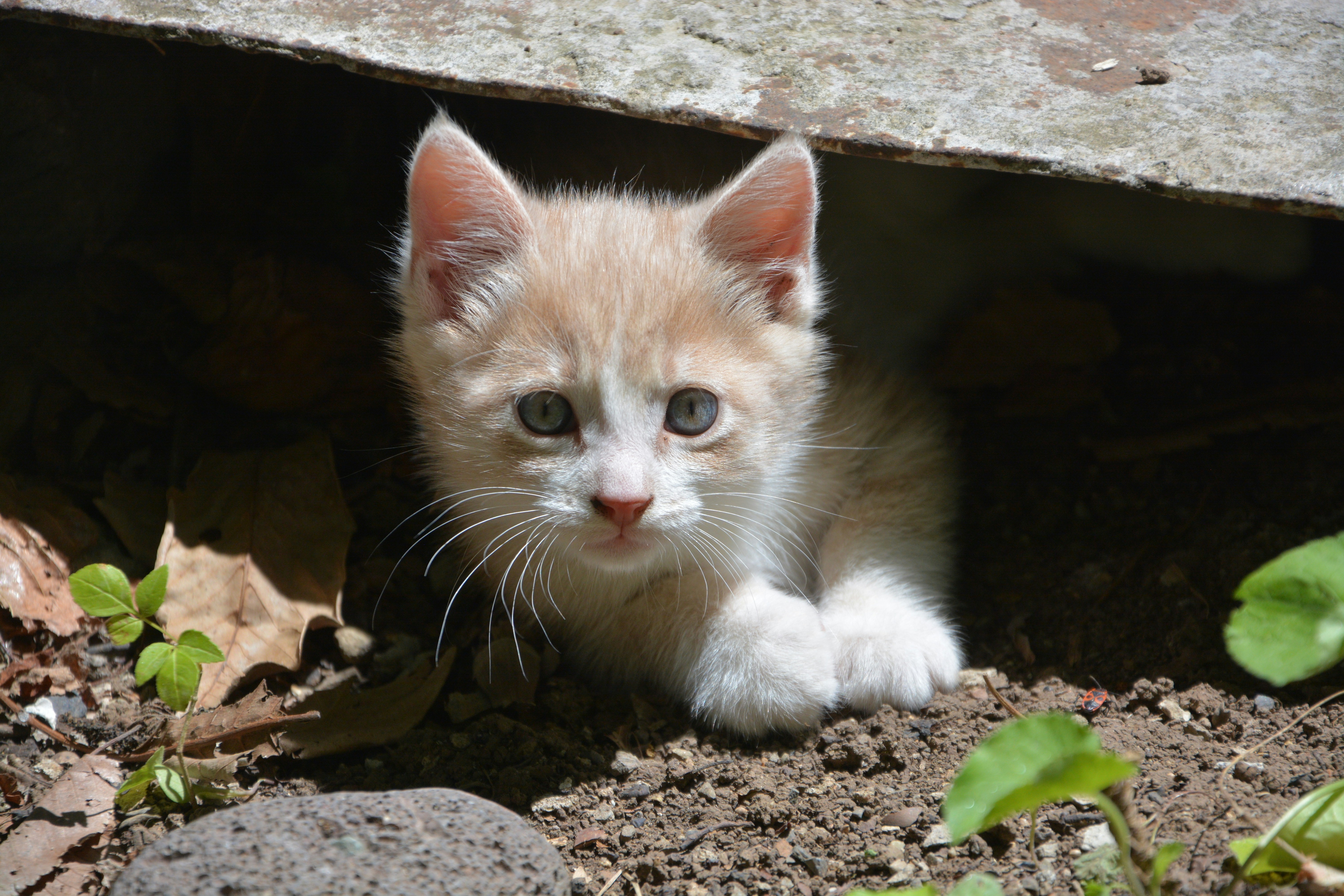 Photo by ekotavkhelidze