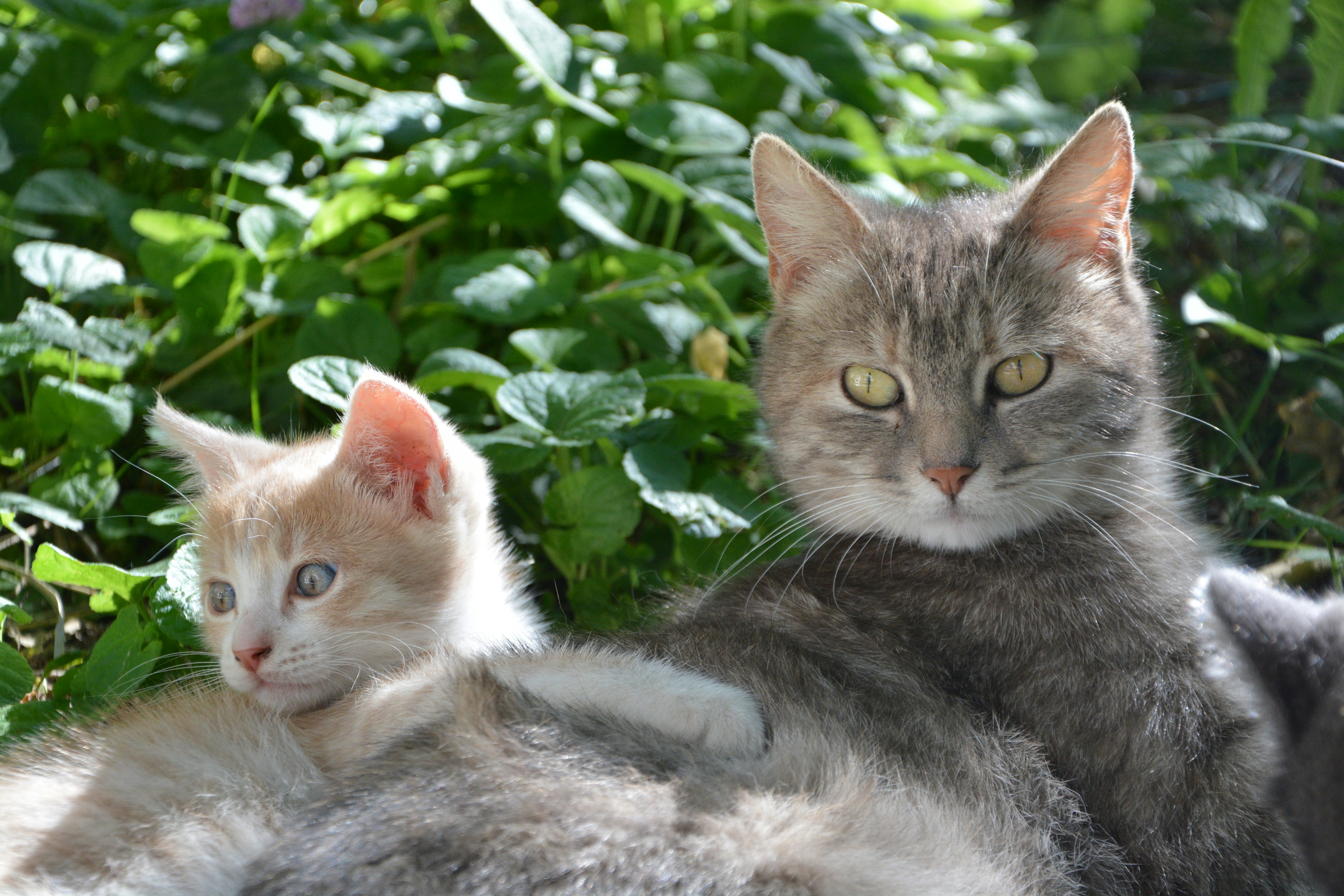 Photo by ekotavkhelidze