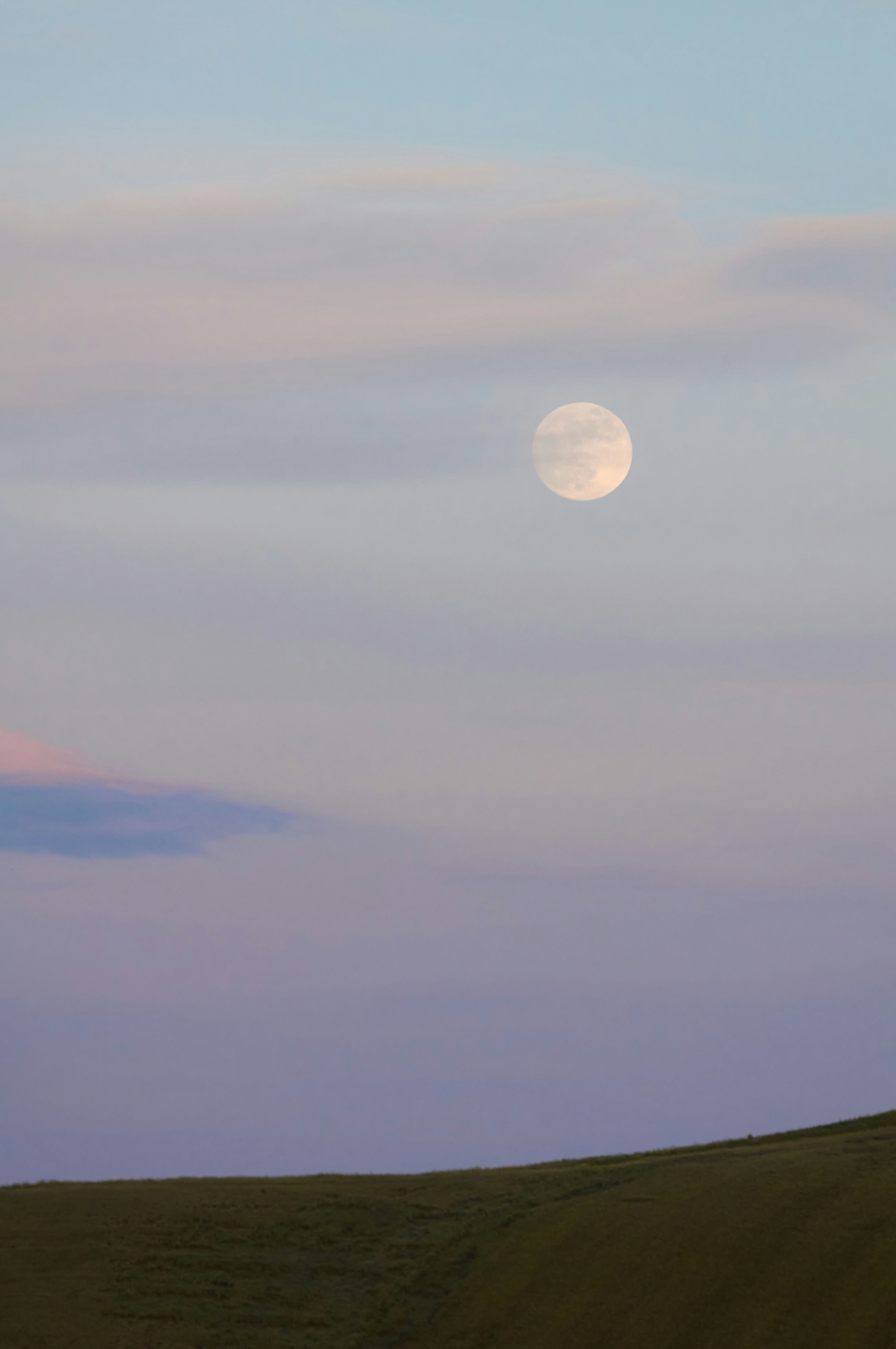 Photo by wolfgang_hasselmann