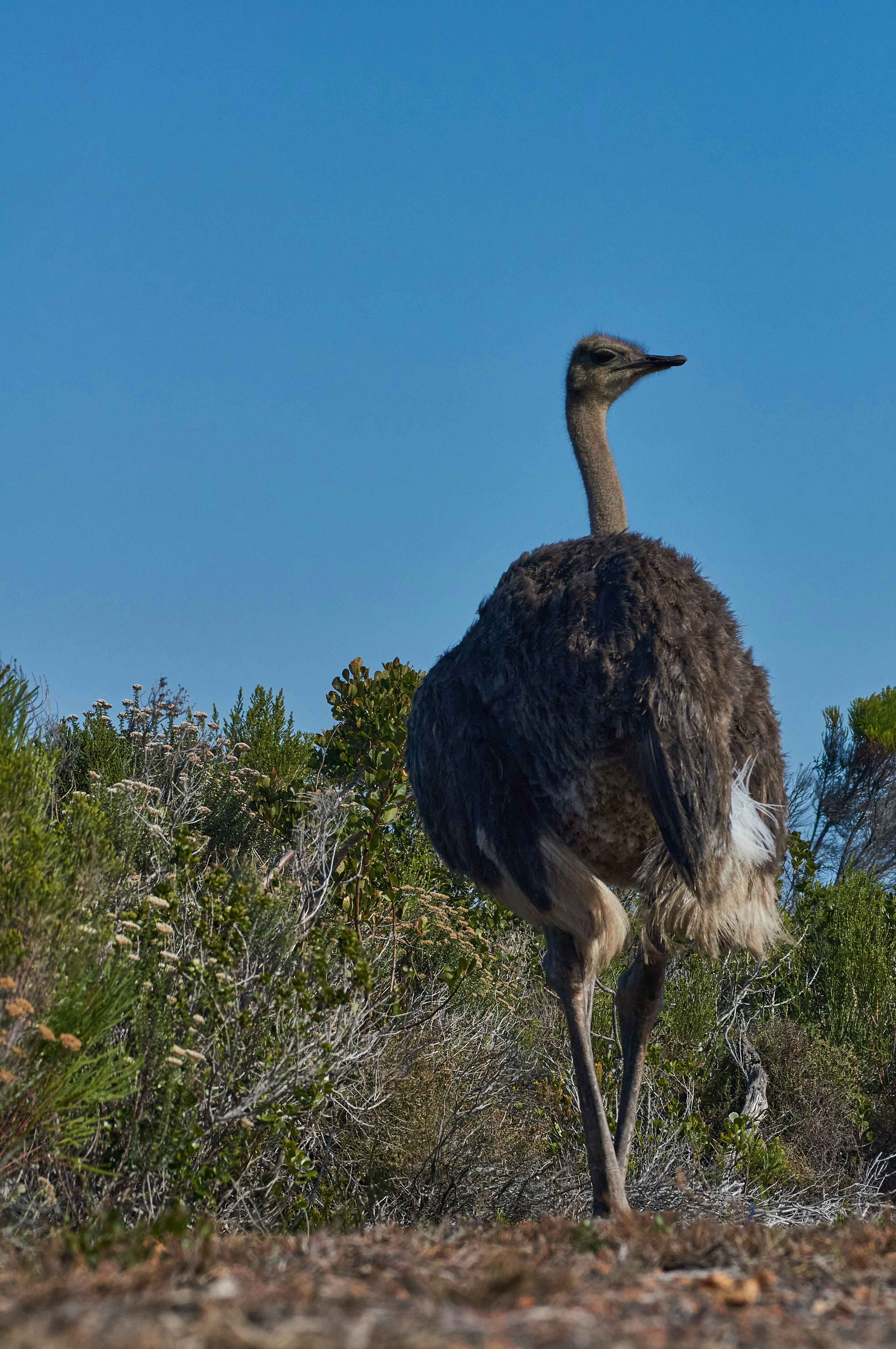 Photo by wolfgang_hasselmann