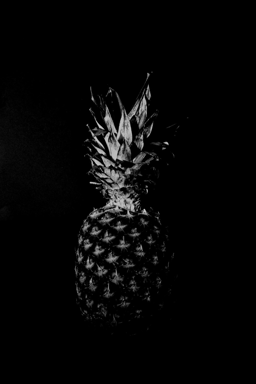 pineapple fruit in black background