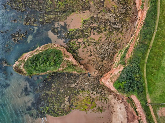 aerial view of green trees and brown field during daytime in Ladram Bay United Kingdom